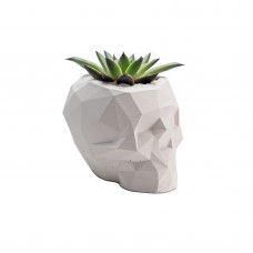 Вазон для суккулентов Geometric Skull White