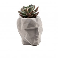 Вазон для суккулентов Geometric Face Grey