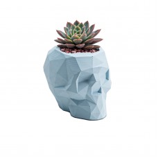 Вазон для суккулентов Geometric Skull Light blue