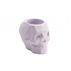 Вазон для суккулентов Geometric Skull Violet