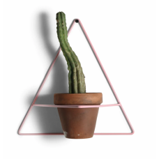 Настенный держатель для вазона Triangle Wall Planter