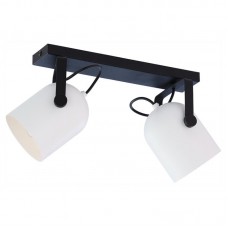 Потолочный светильник Sanzo 2 Black&White