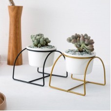 Flower stands Kimber