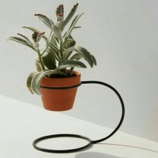Flower stands Bunga