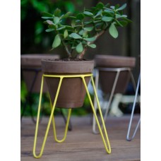 Flower stands Tripod